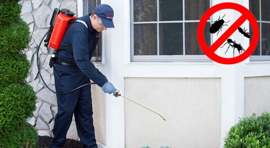 Mut Karınca İlaçlama böcek ilaçlama ve haşere kontrolü — ilaclama-tr.com
